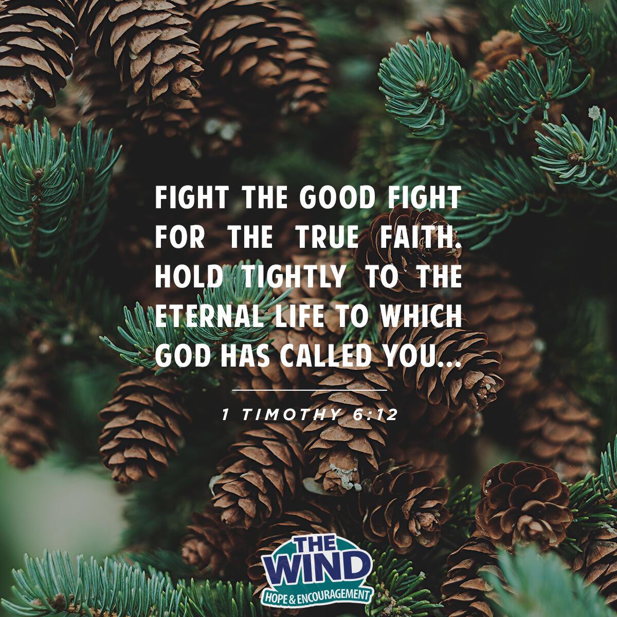 1 Timothy 6:12
