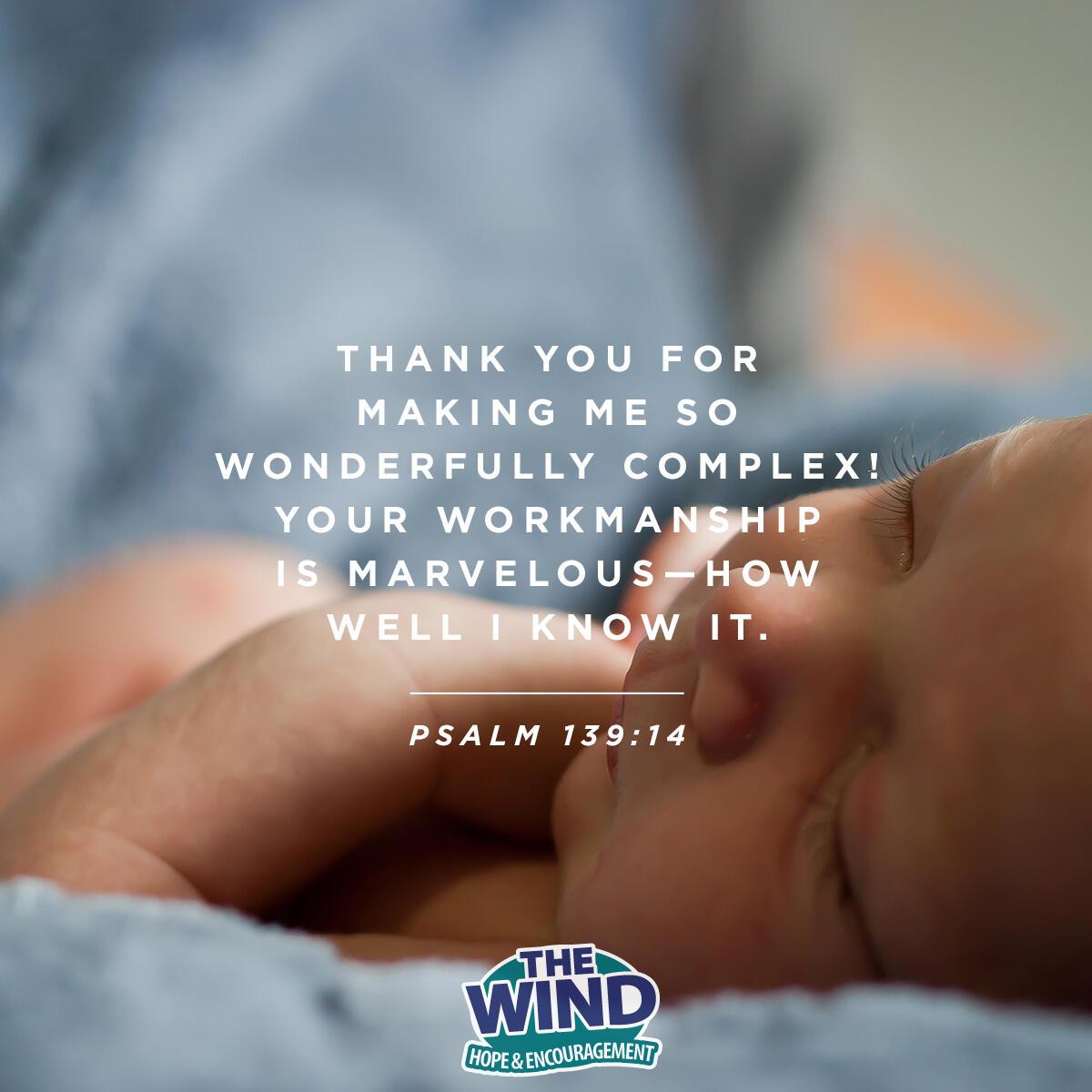 Psalm 139:14