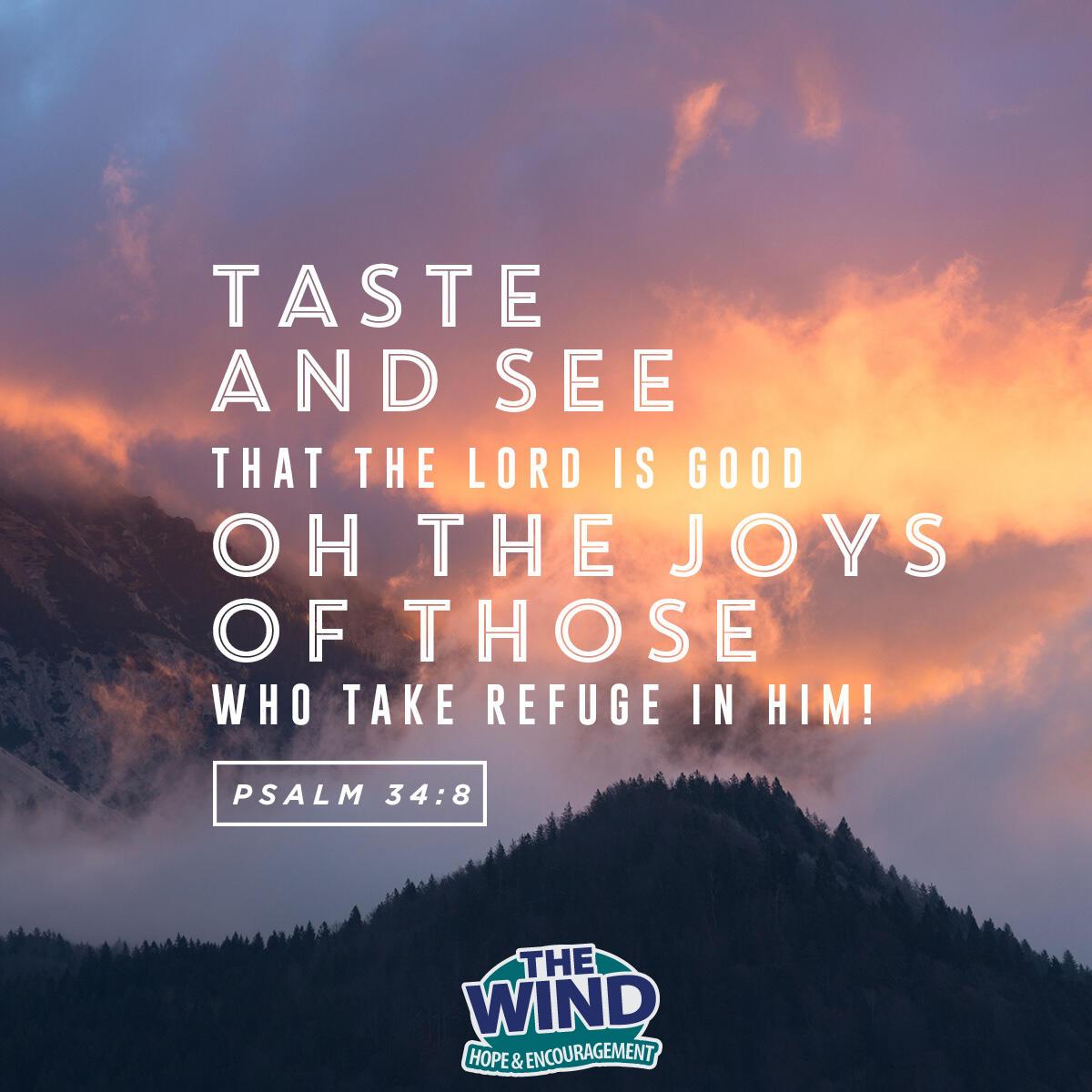 Psalm 34:8 - Verse of the Day
