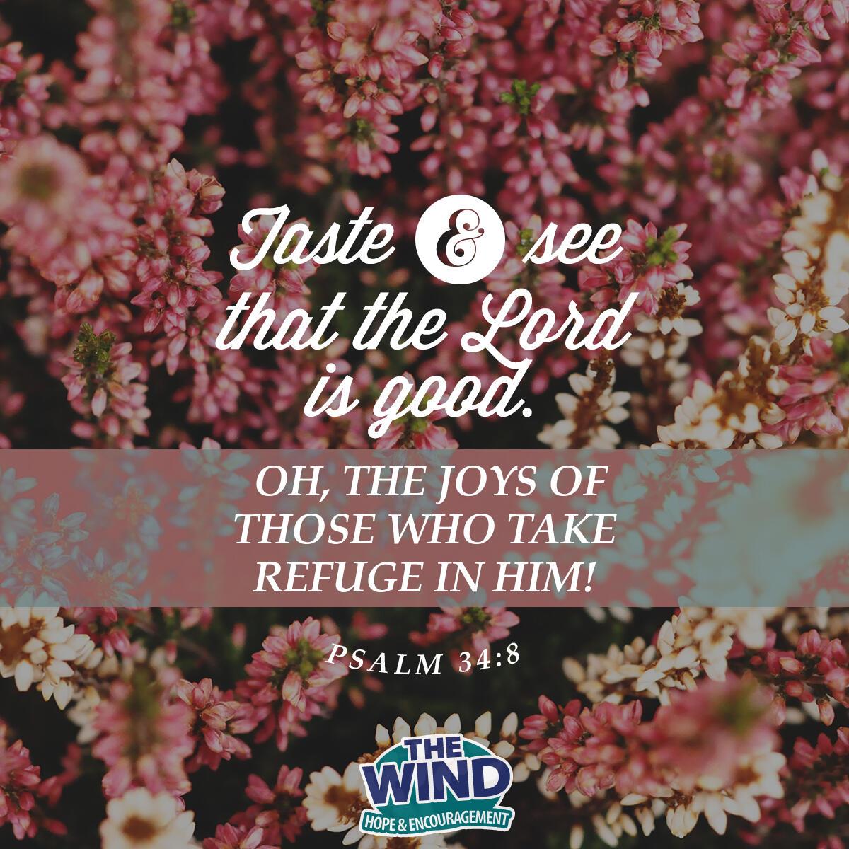 Psalm 34:8