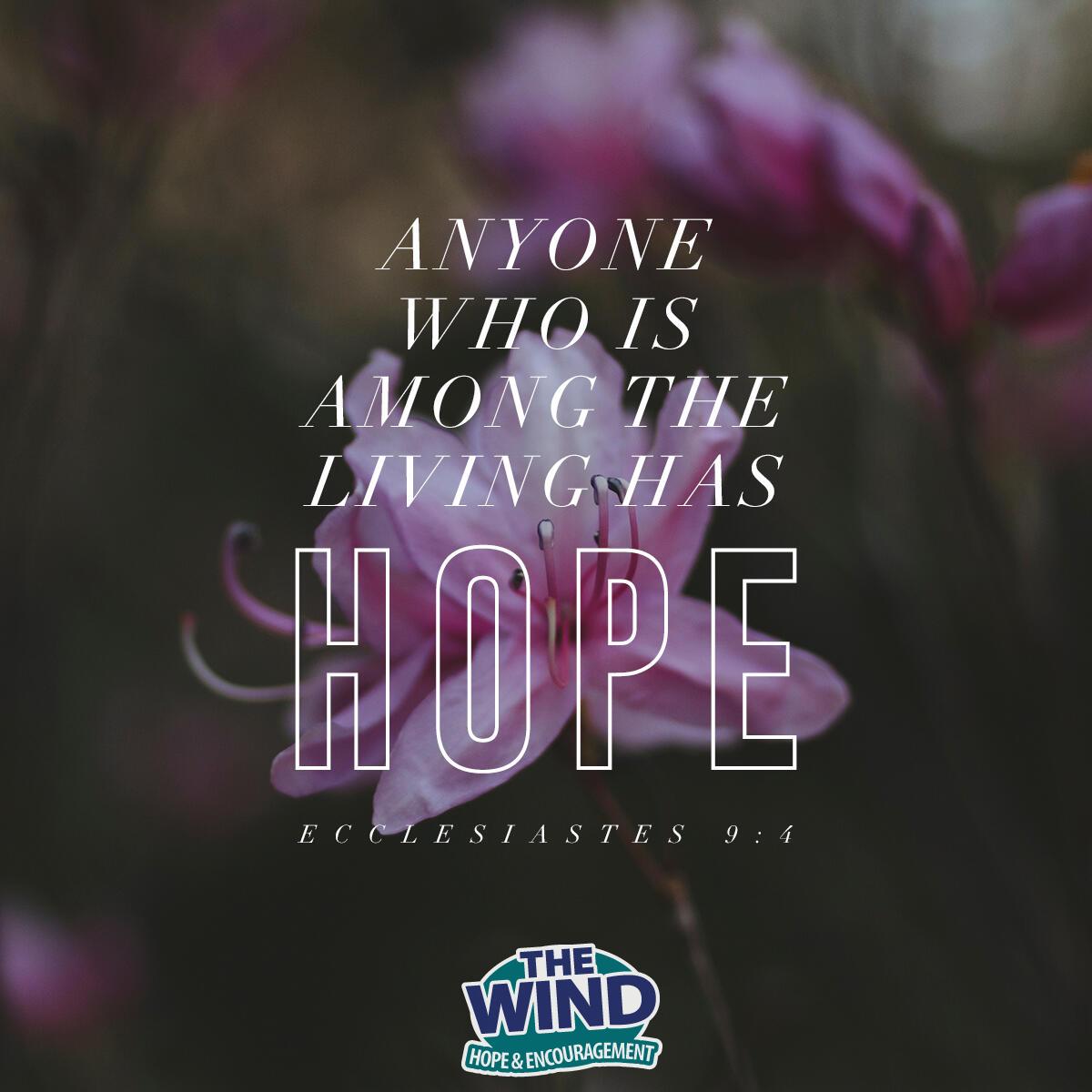 Ecclesiastes 9:4