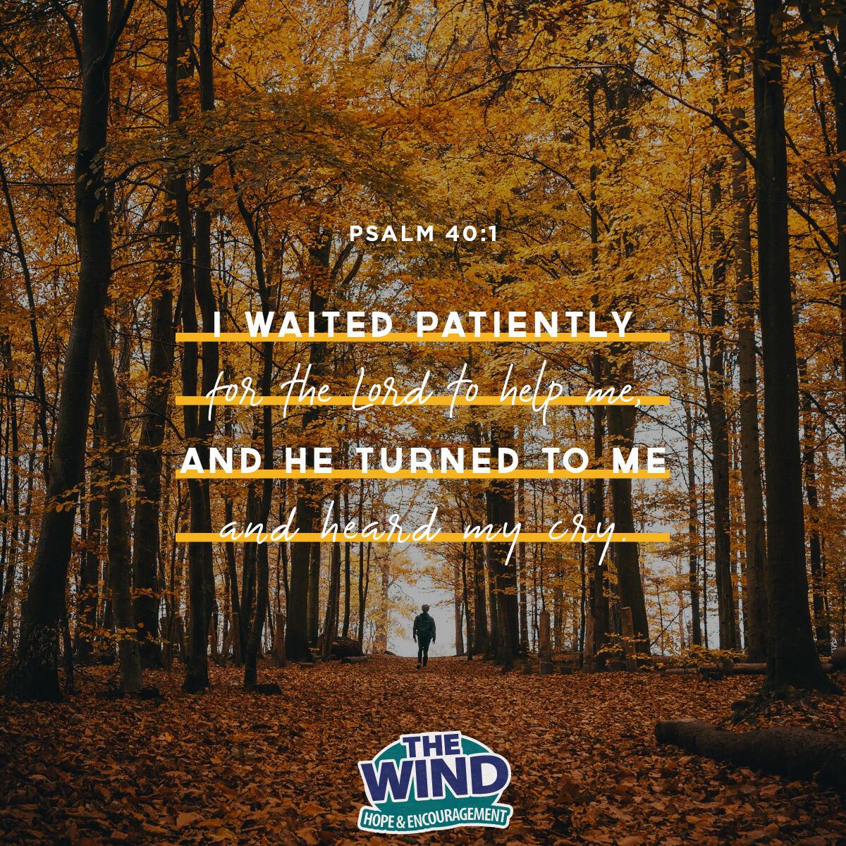 Psalm 40:1 - Verse of the Day