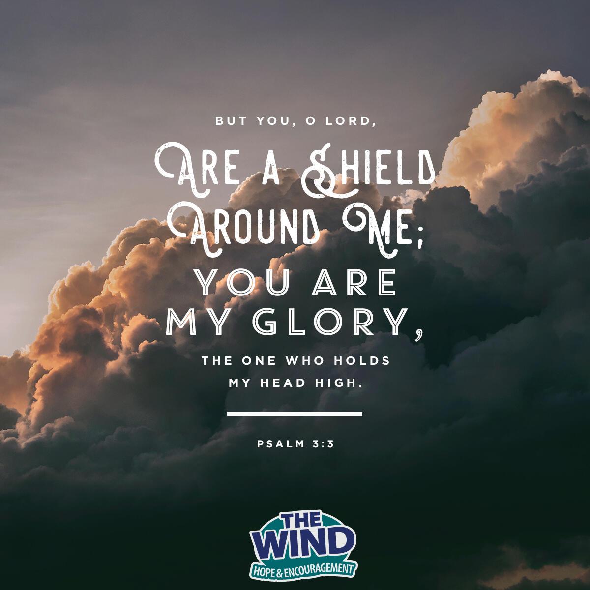 Psalm 3:3 - Verse of the Day