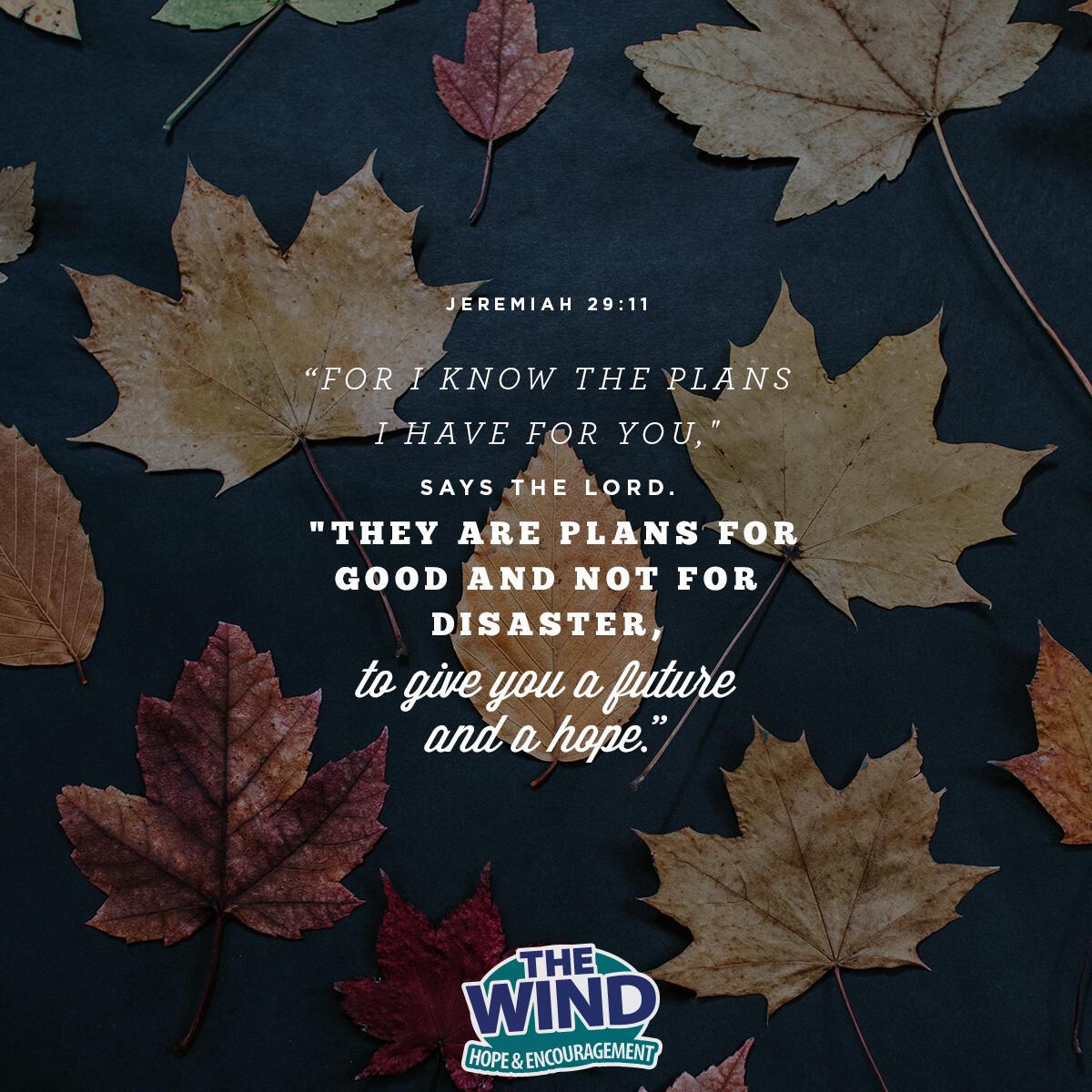 Jeremiah 29:11 - Verse of the Day