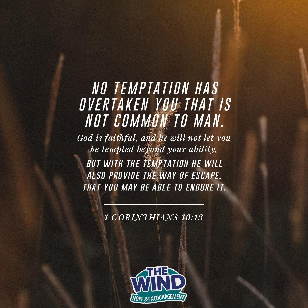 1 Corinthians 10:13 - Verse of the Day