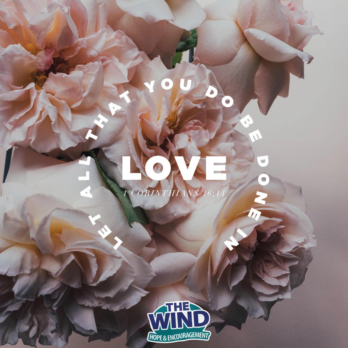 1 Corinthians 16:14 - Verse of the Day