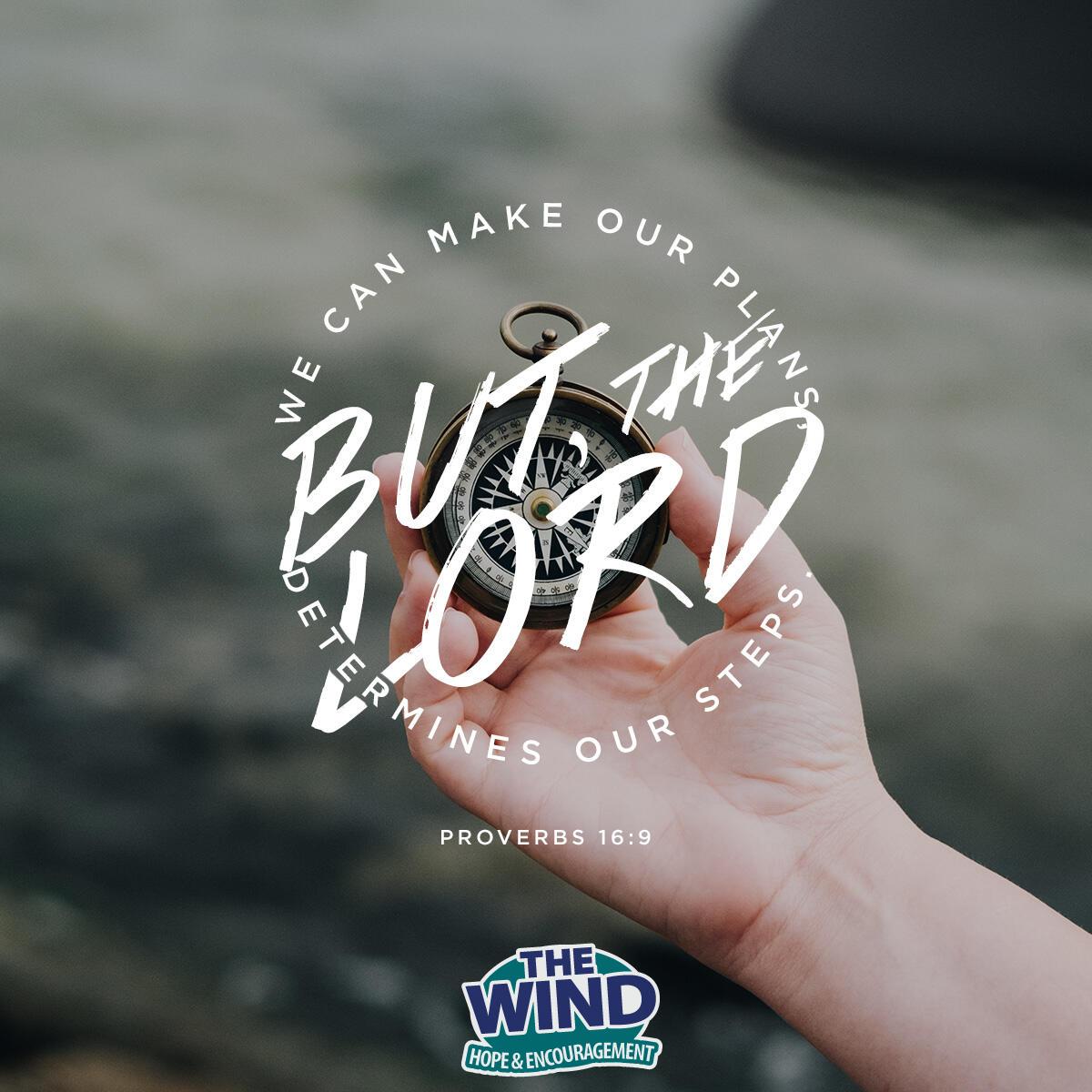 Proverbs 16:9 - Verse of the Day