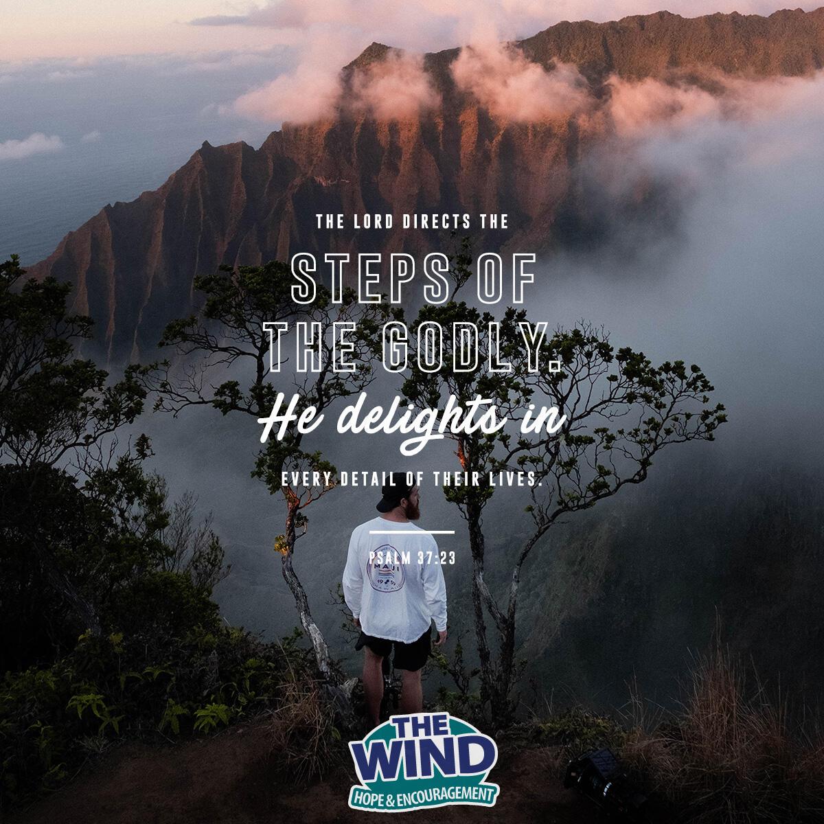 Psalm 37:23 - Verse of the Day