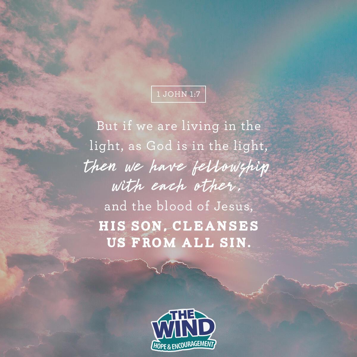 1 John 1:7 - Verse of the Day