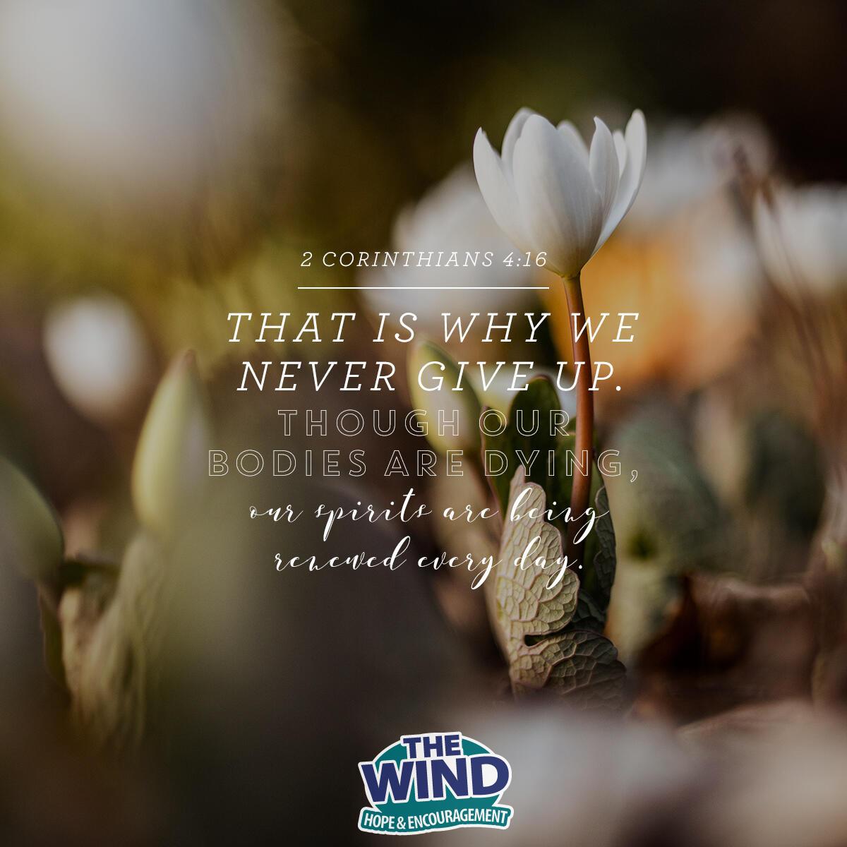 2 Corinthians 4:16 - Verse of the Day