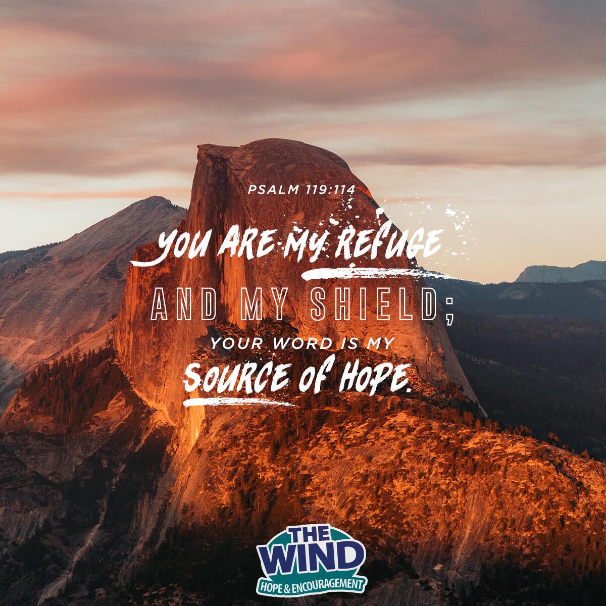 Psalm 119: 114 - Verse of the Day