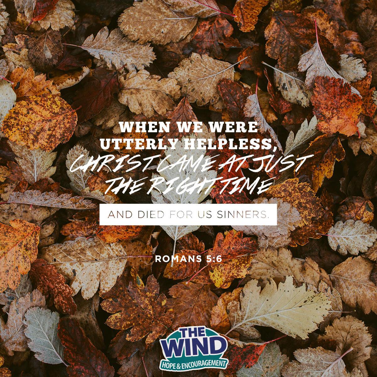 Romans 5:6 - Verse of the Day