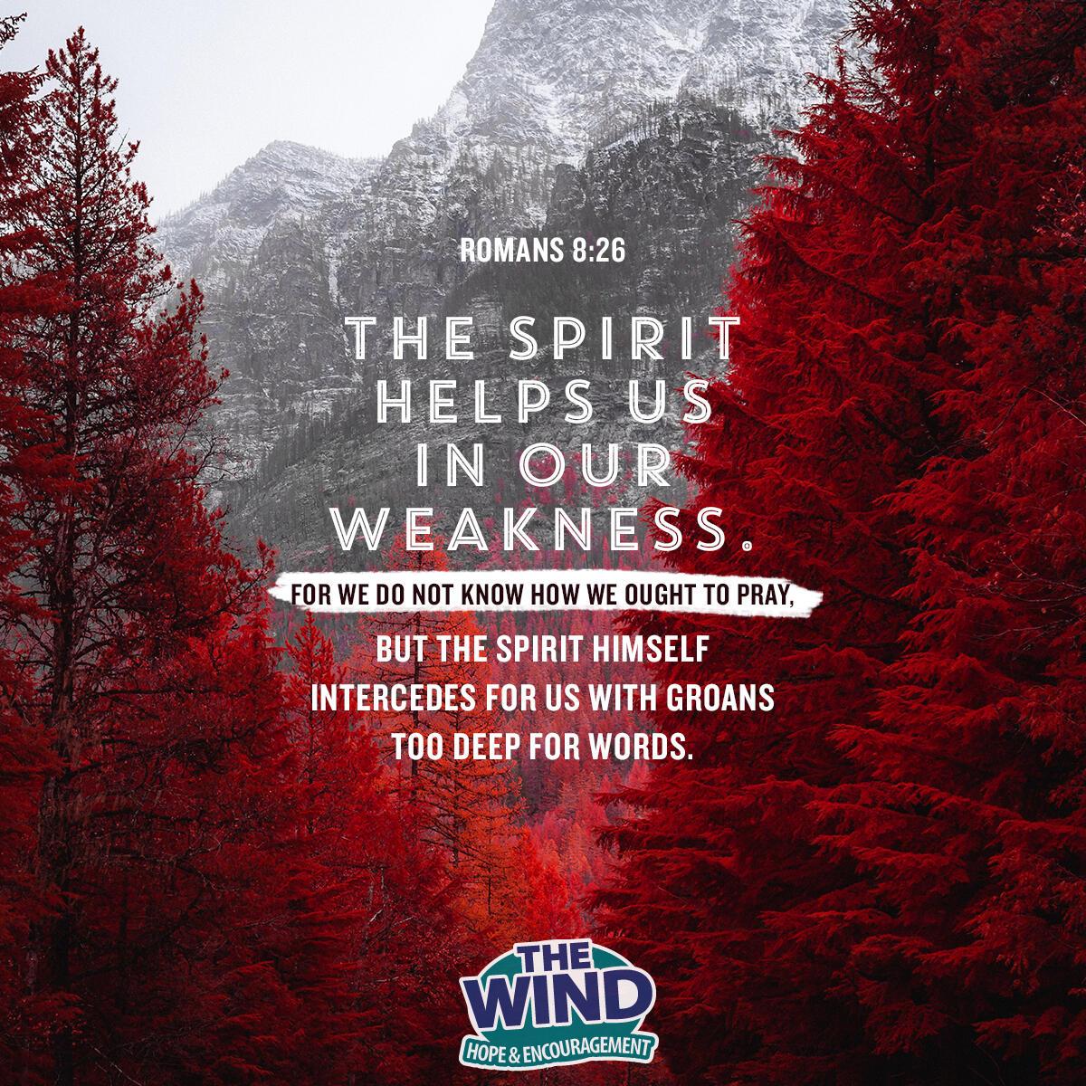 Romans 8:26 - Verse of the Day