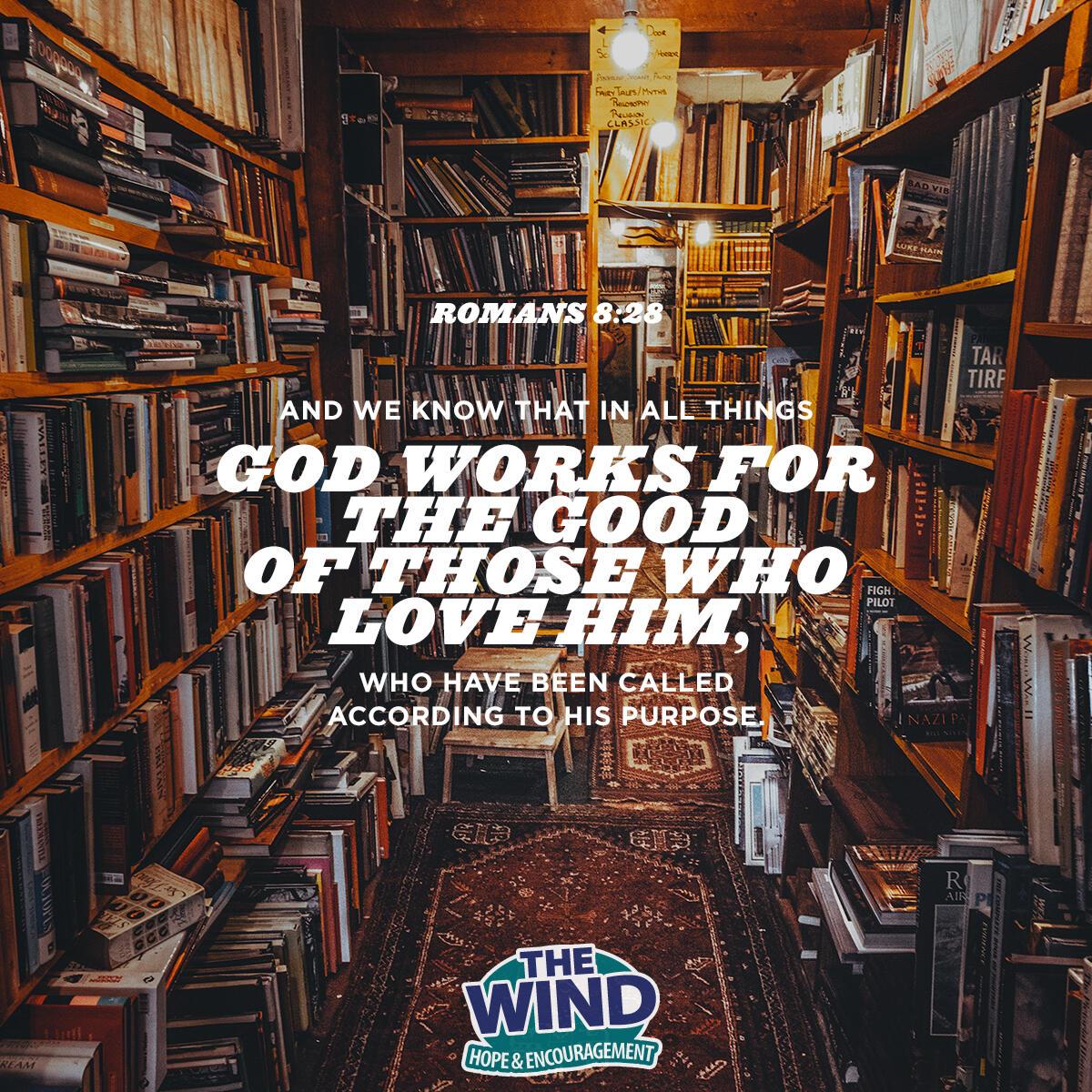 Romans 8:28 - Verse of the Day