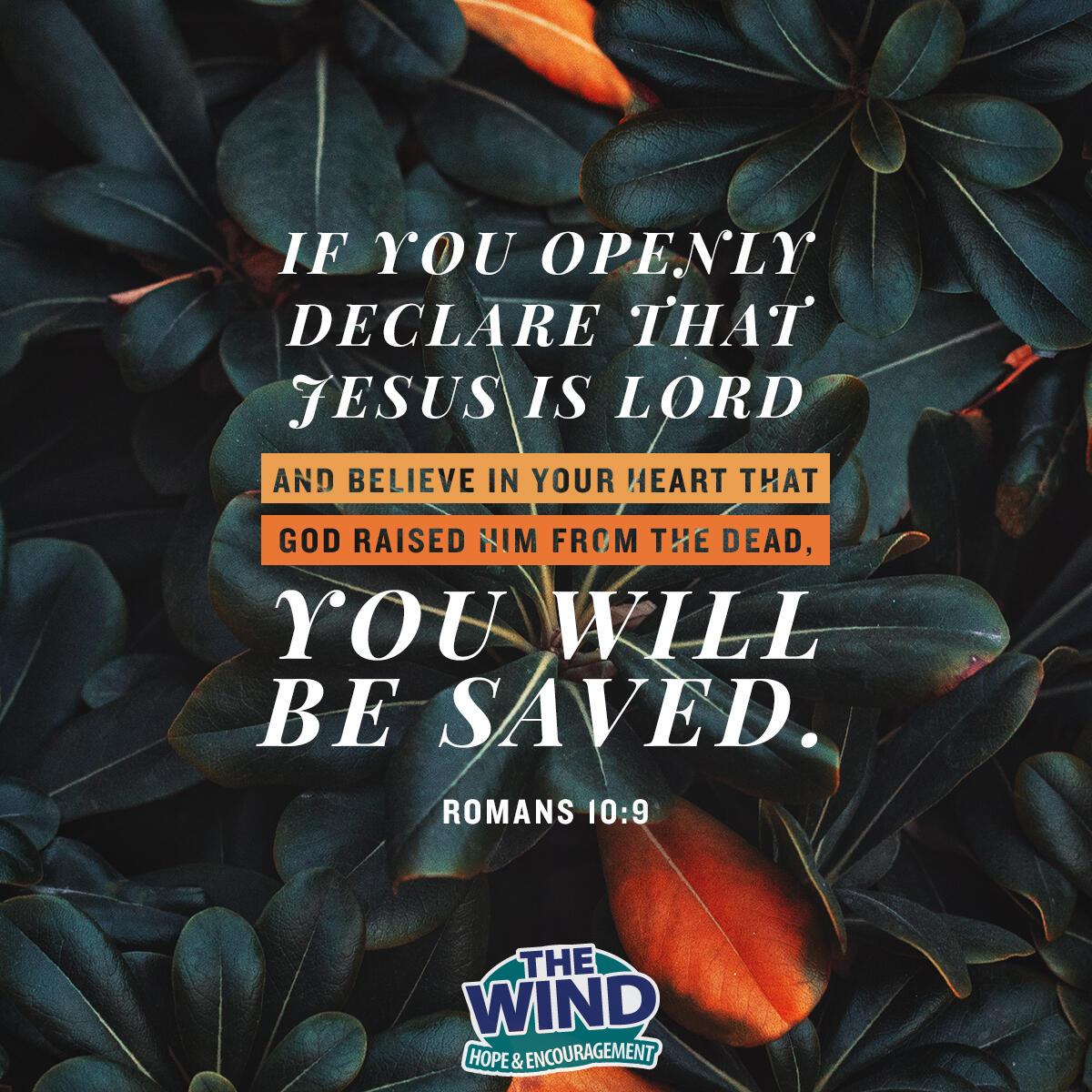 Romans 10:9 - Verse of the Day