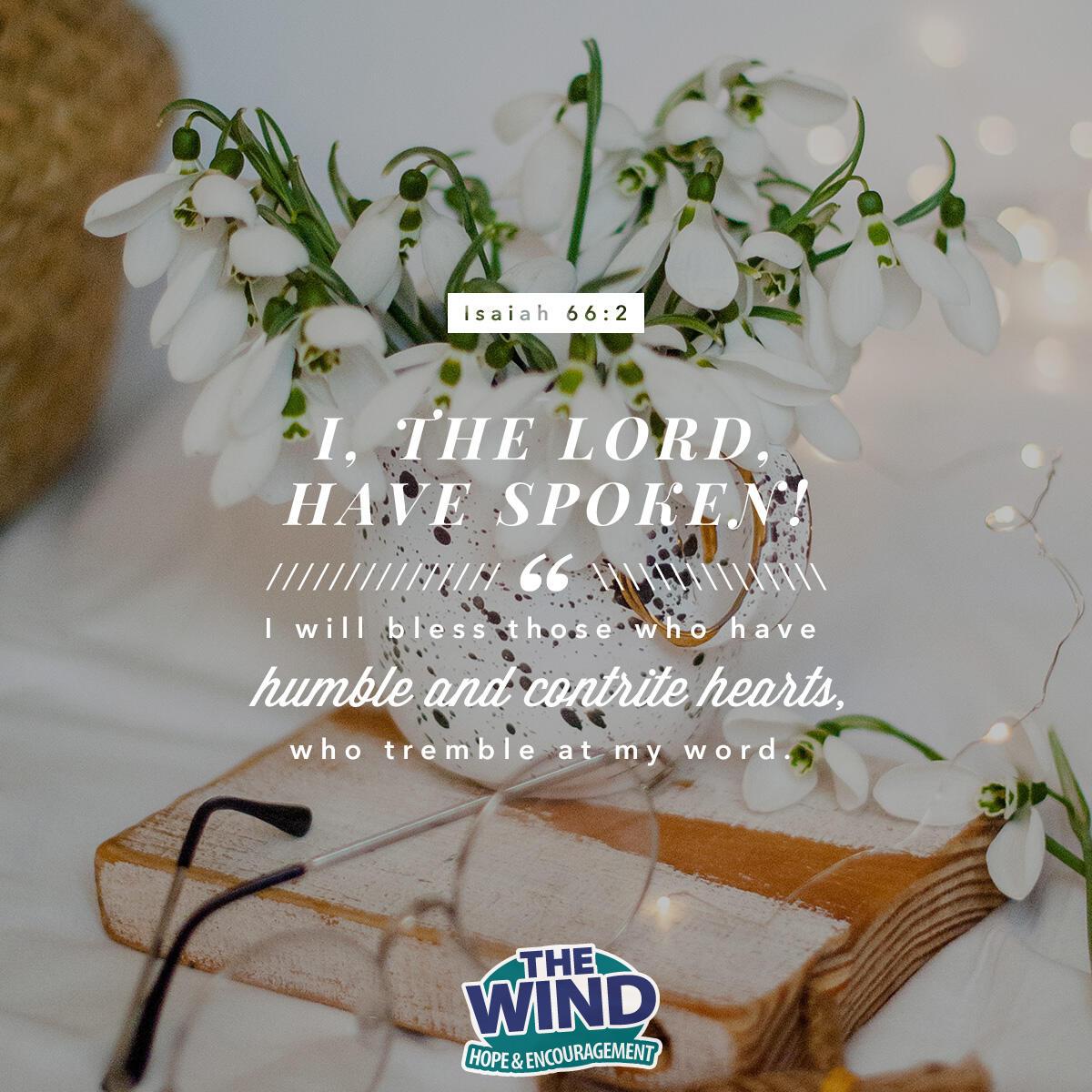 Isaiah 66:2 - Verse of the Day