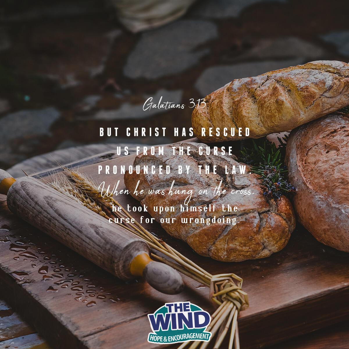 Galatians 3:13 - Verse of the Day