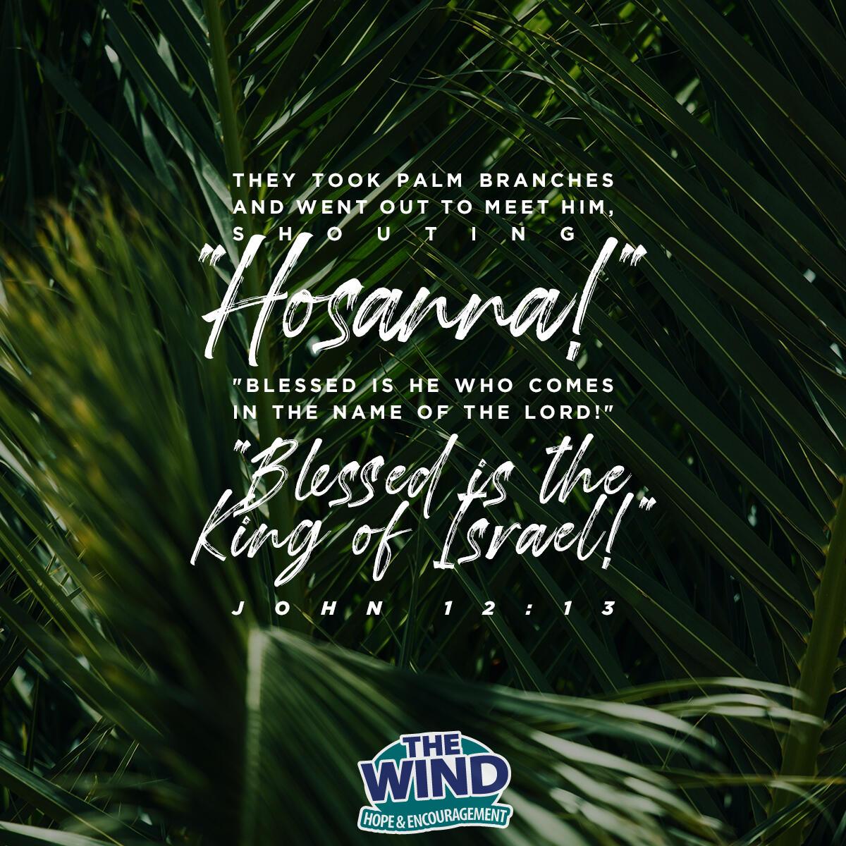 John 12:13 - Verse of the Day