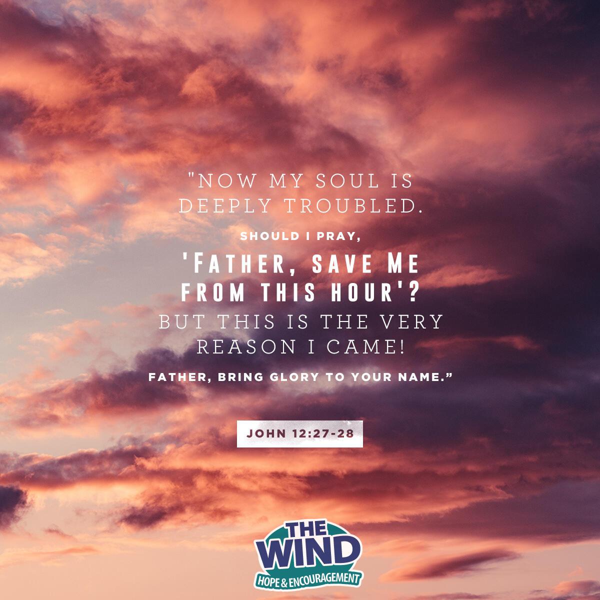 John 12:27-28 - Verse of the Day