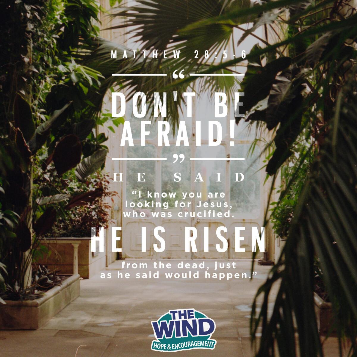 Matthew 28:5-6 - Verse of the Day