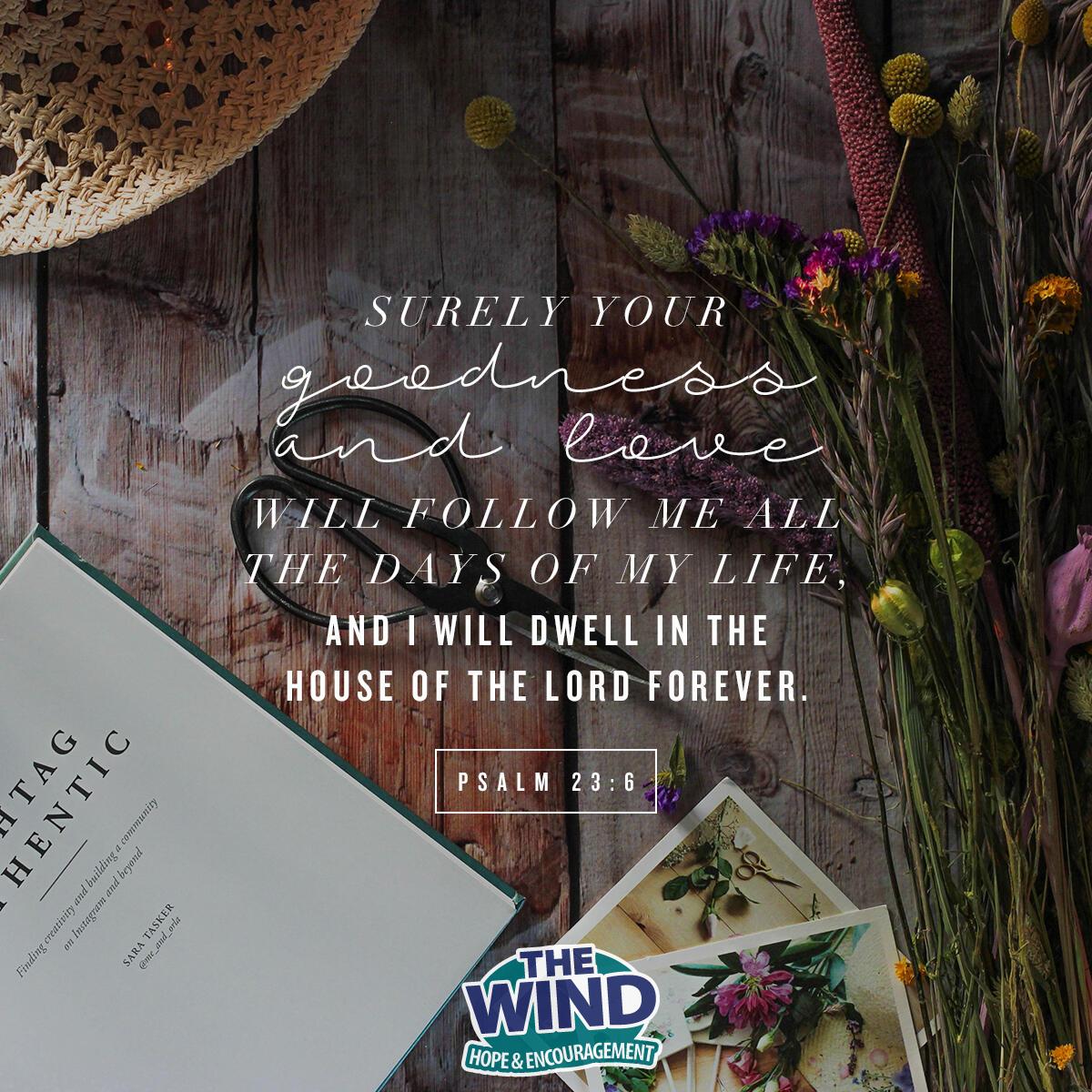 Psalm 23:6 - Verse of the Day