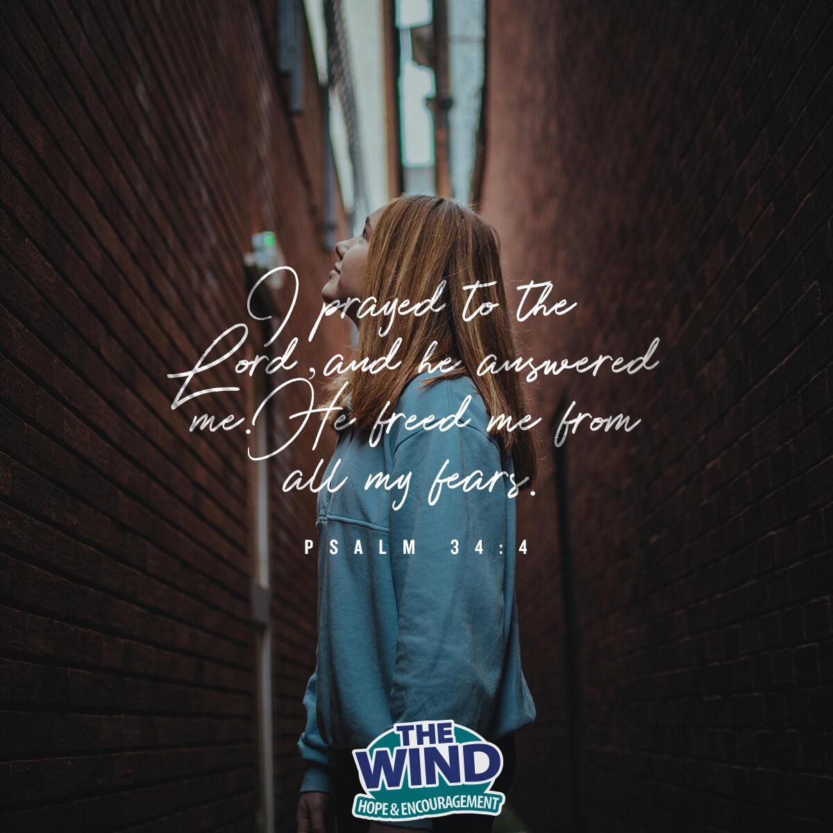 Psalm 34:4 - Verse of the Day