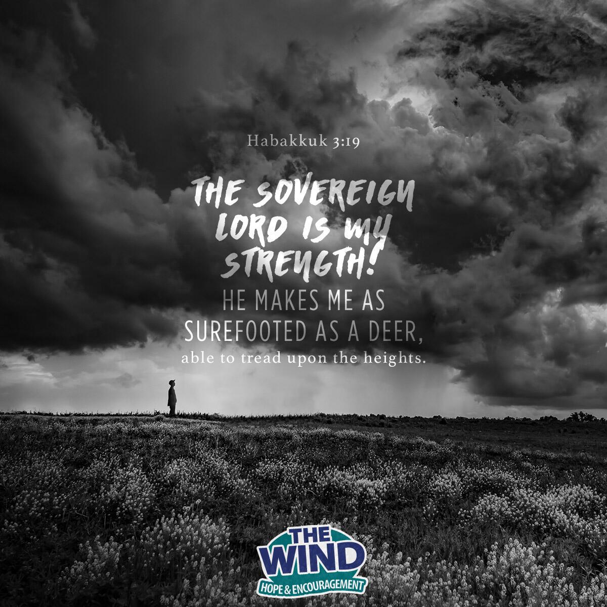 Habakkuk 3:19 - Verse of the Day