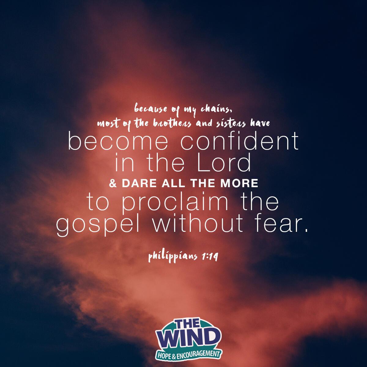 Philippians 1:14 - Verse of the Day