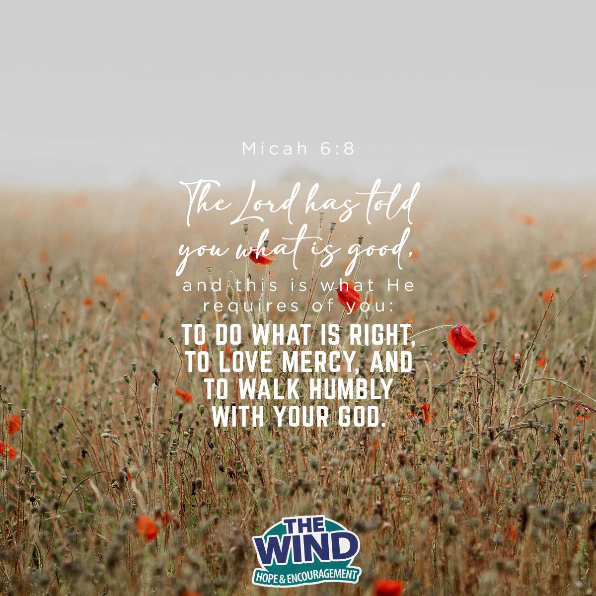 Micah 6:8 - Verse of the Day