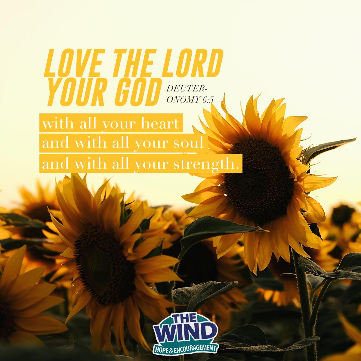Deuteronomy 6:5 - Verse of the Day
