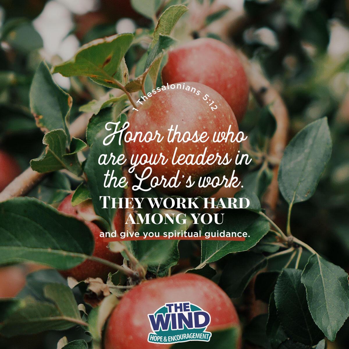 1 Thessalonians 5:12 - Verse of the Day