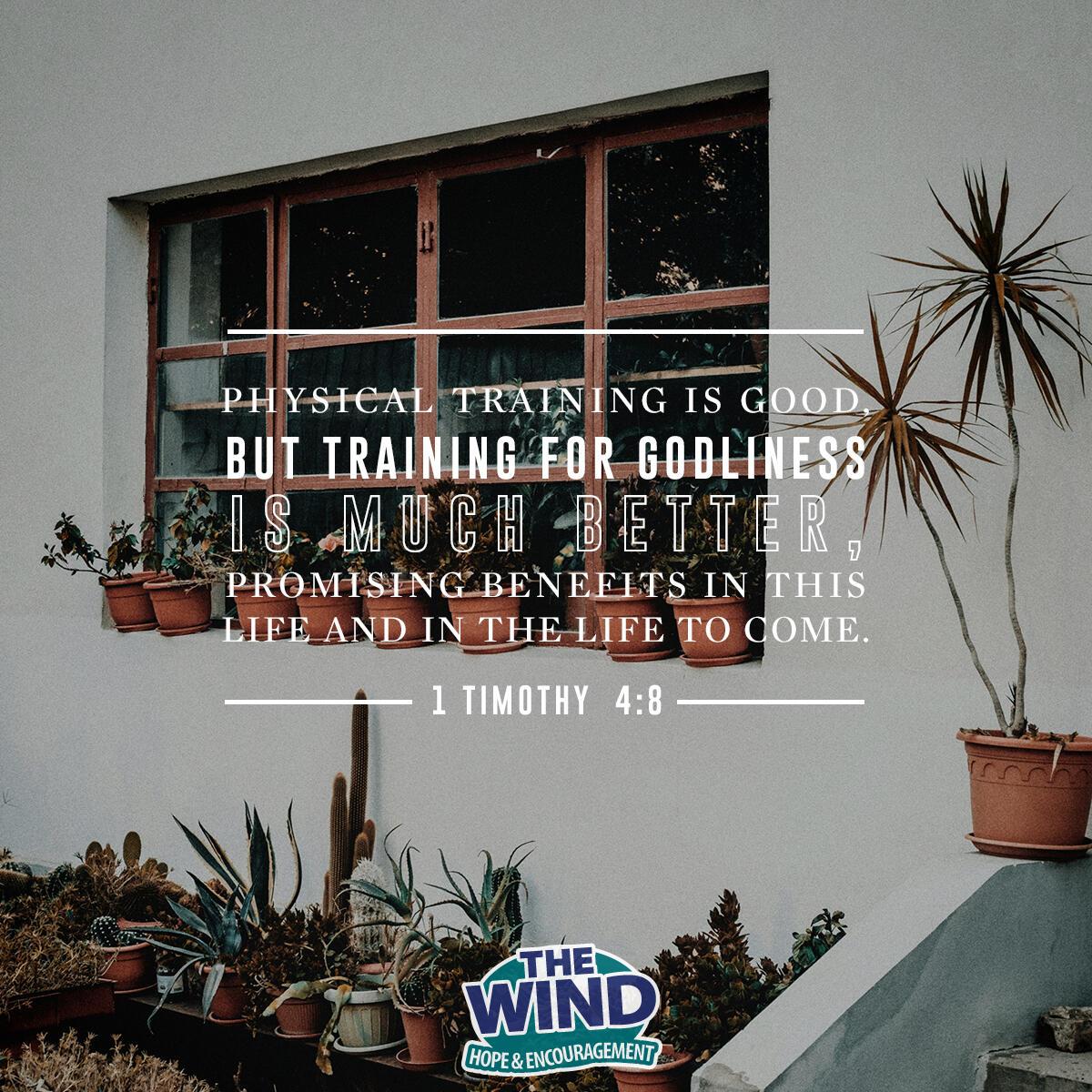 1 Timothy 4:8 - Verse of the Day