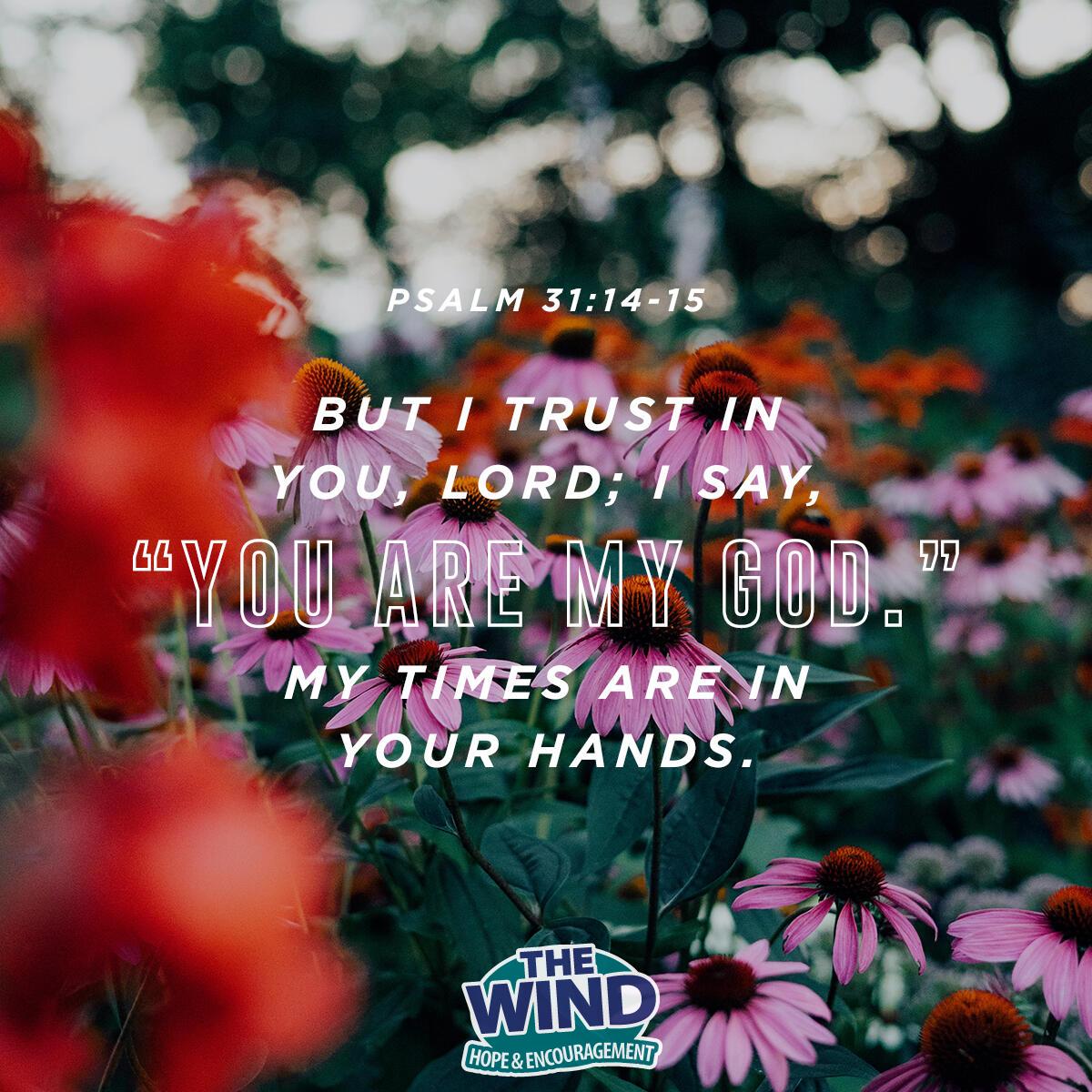 Psalm 31: 14-15 - Verse of the Day