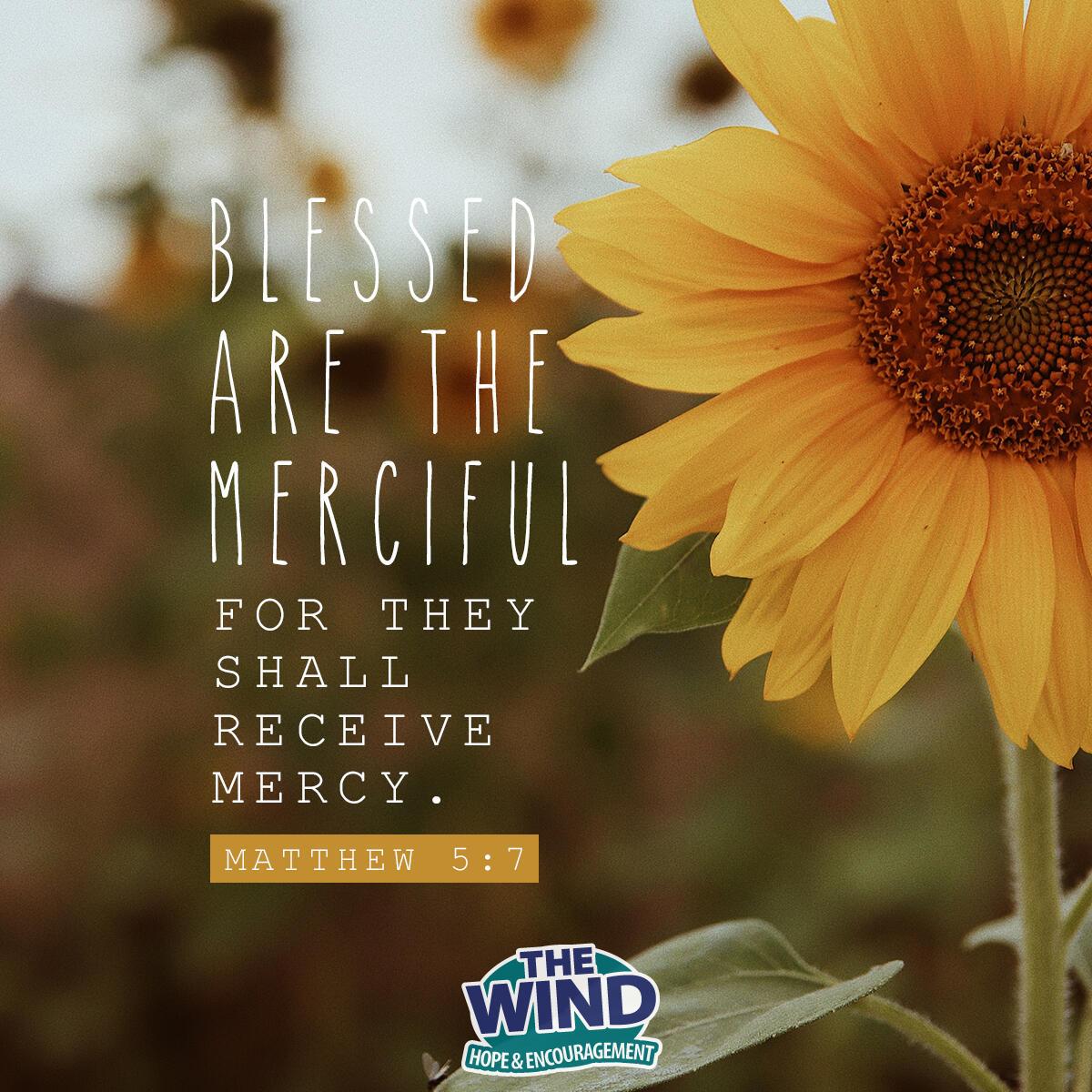 Matthew 5:7 - Verse of the Day