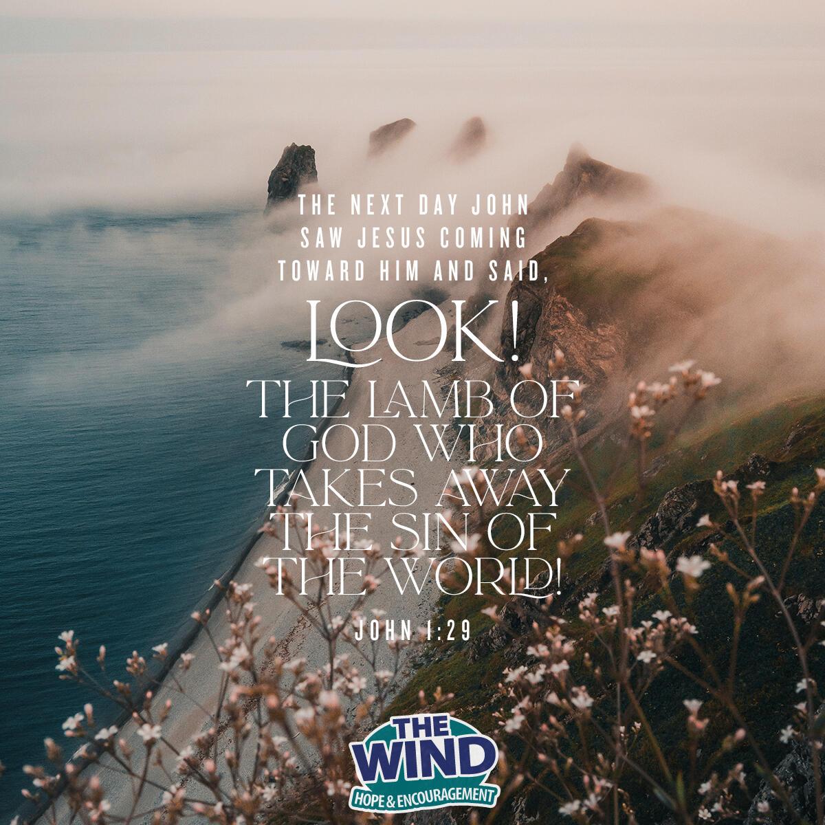 John 1:29 - Verse of the Day