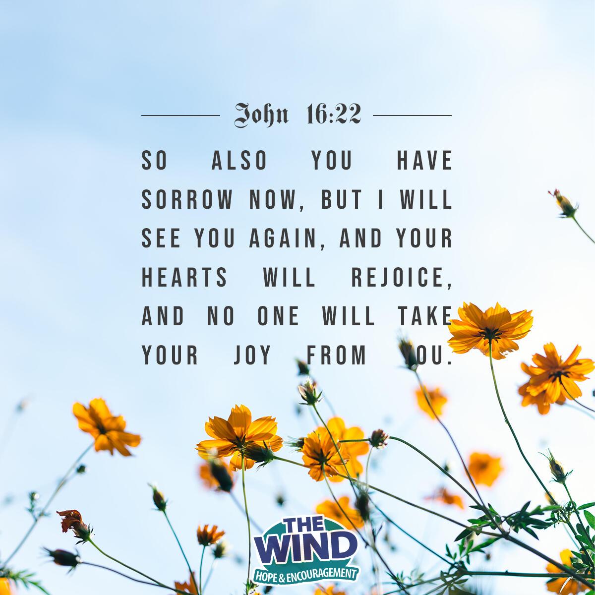 John 16:22 - Verse of the Day