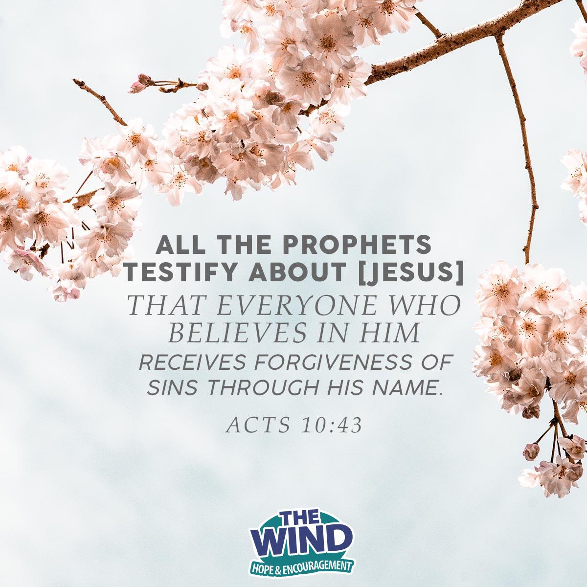 Acts 10:43 - Verse of the Day