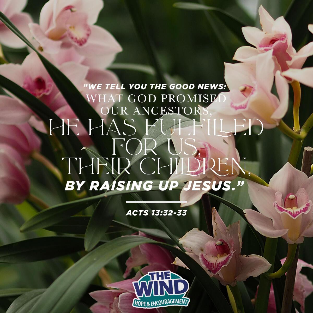 Acts 13:32-33 - Verse of the Day