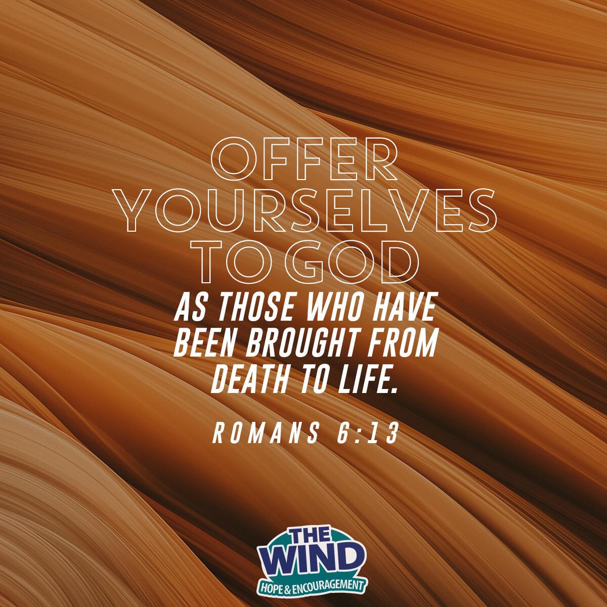 Romans 6:13 - Verse of the Day