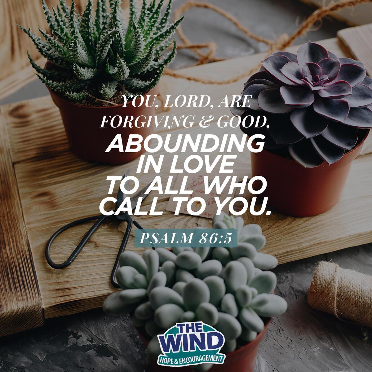 Psalm 86:5 - Verse of the Day
