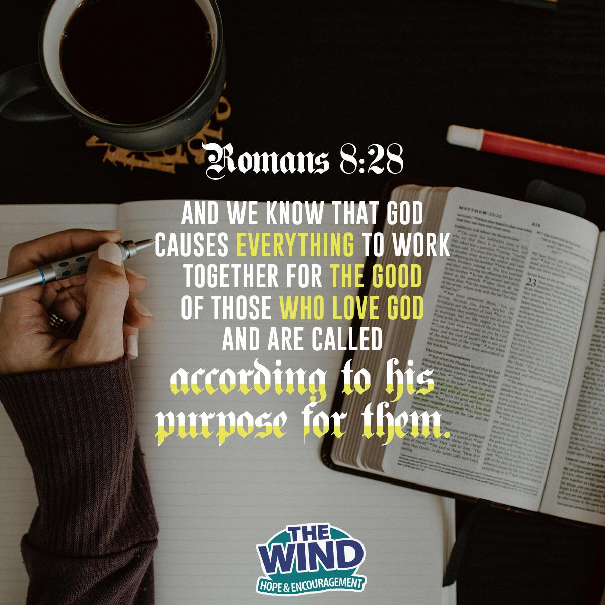 Romans 8:28 - Verse of the Day
