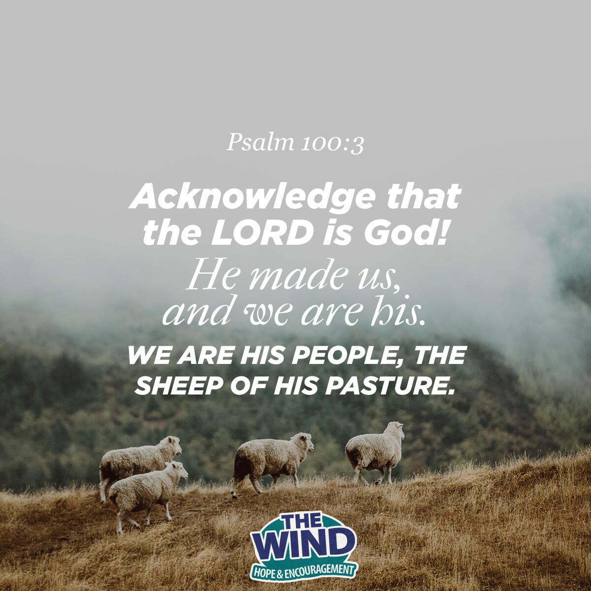 Psalm 100:3 - Verse of the Day