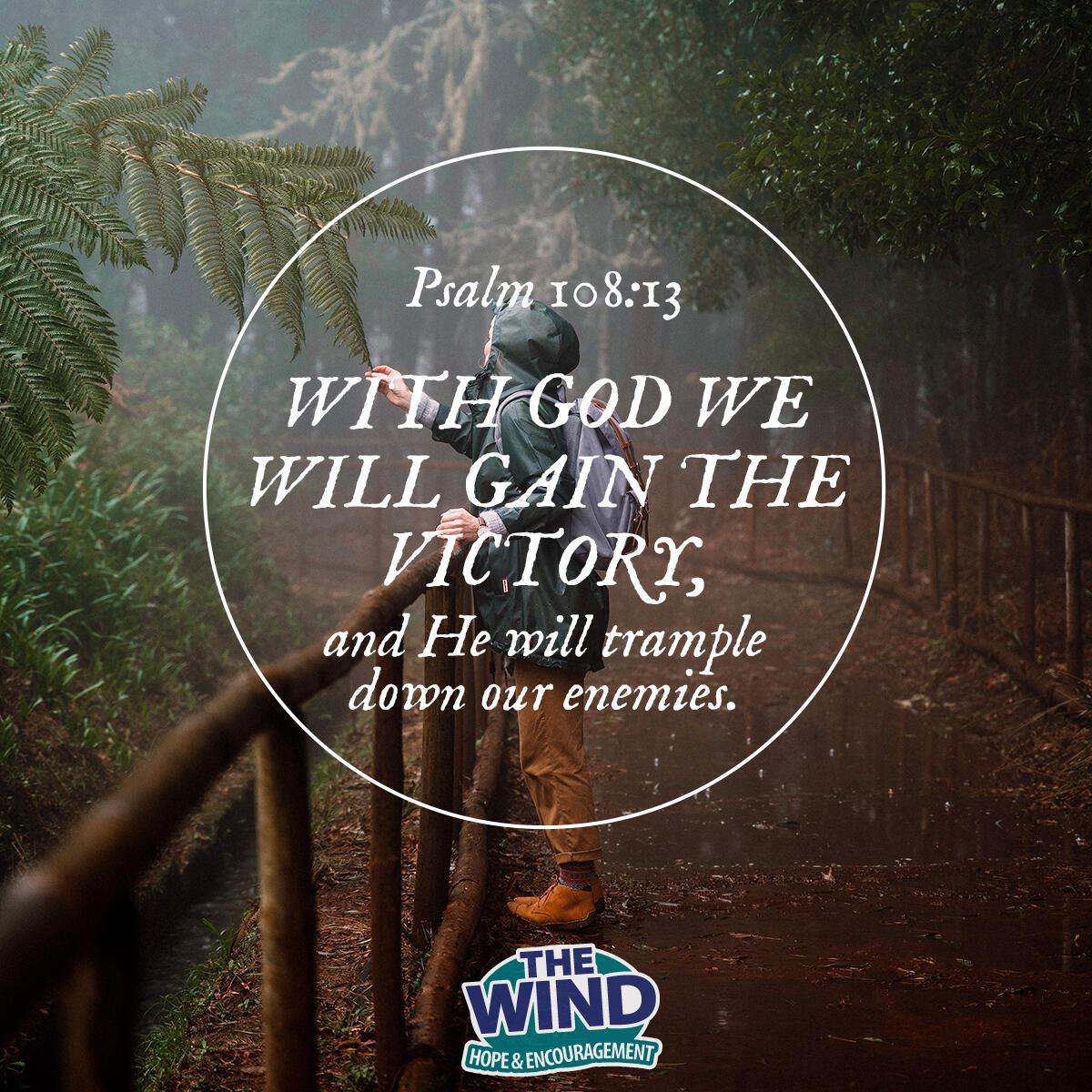 Psalm 108:13 - Verse of the Day