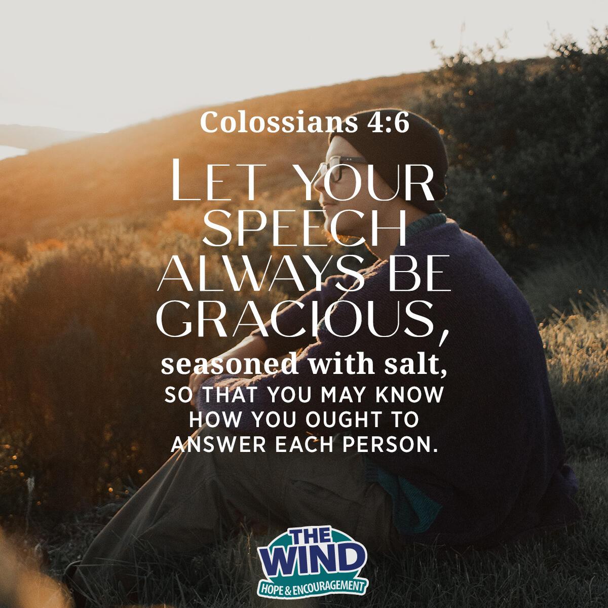 Colossians 4:6 - Verse of the Day