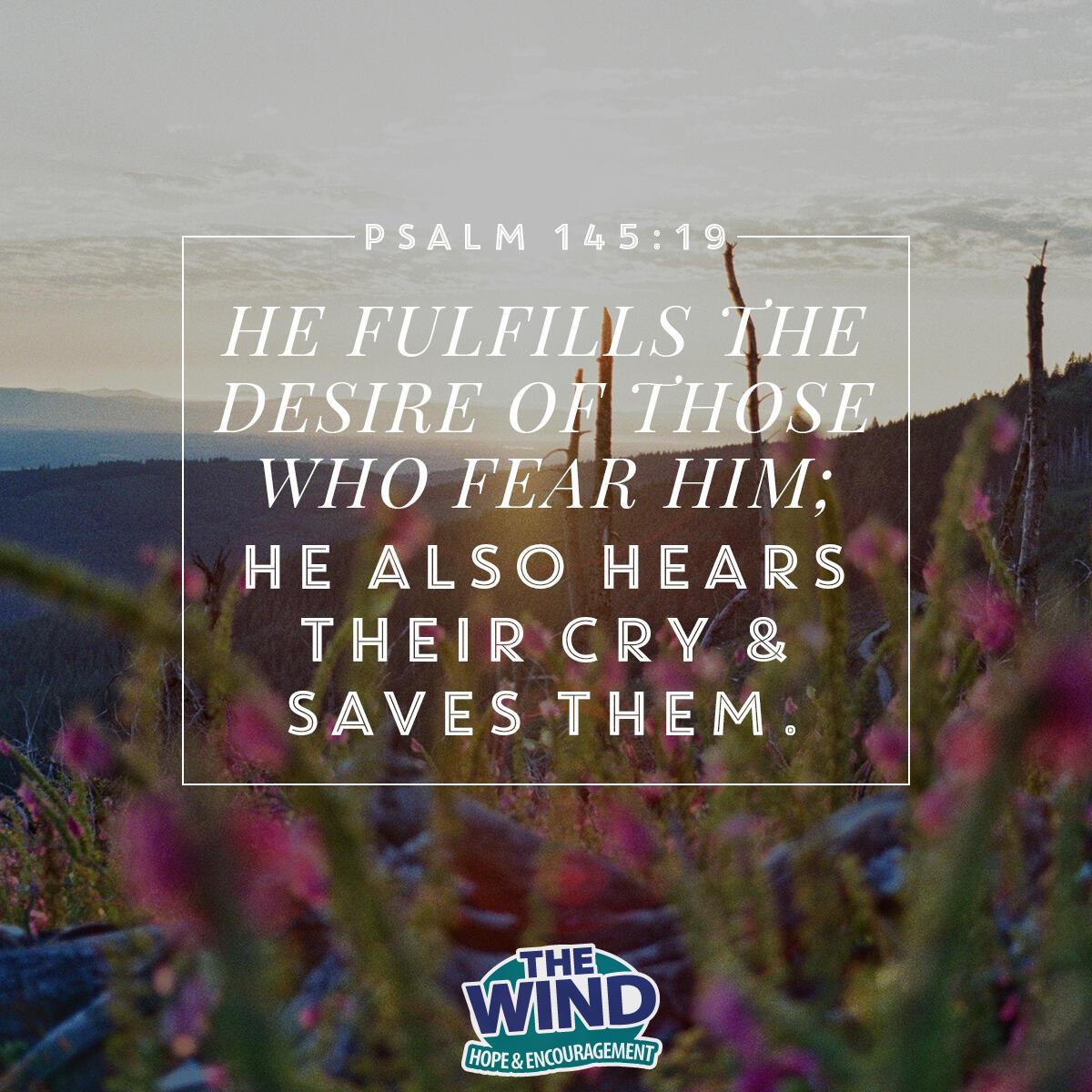 Psalm 145:19 - Verse of the Day