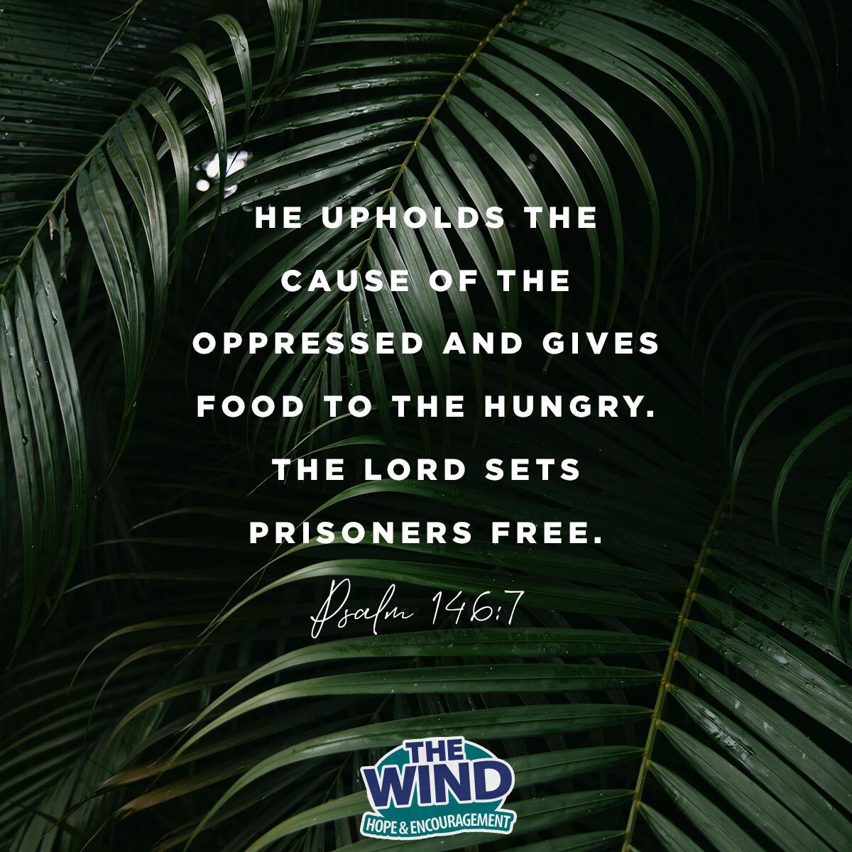 Psalm 146:7 - Verse of the Day