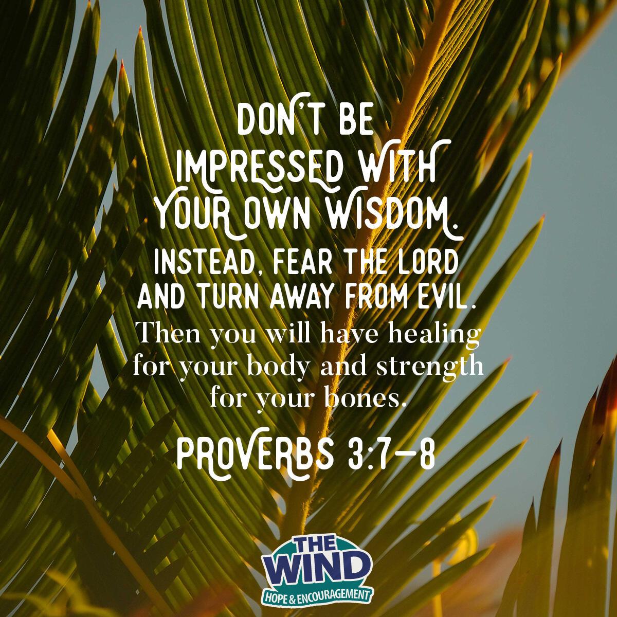 Proverbs 3:7-8