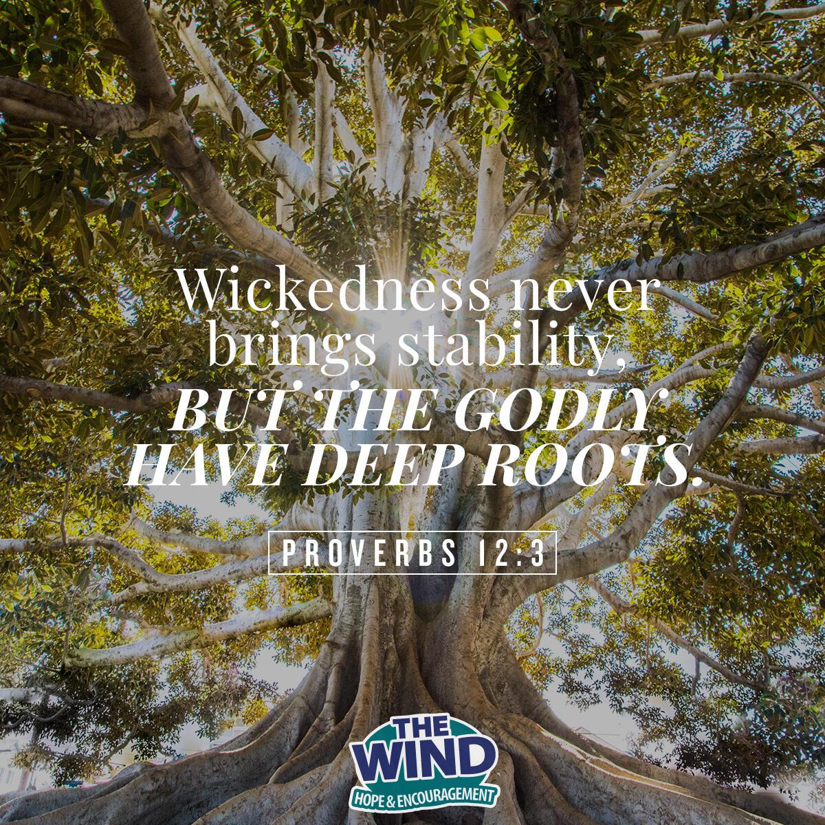 Proverbs 12:3