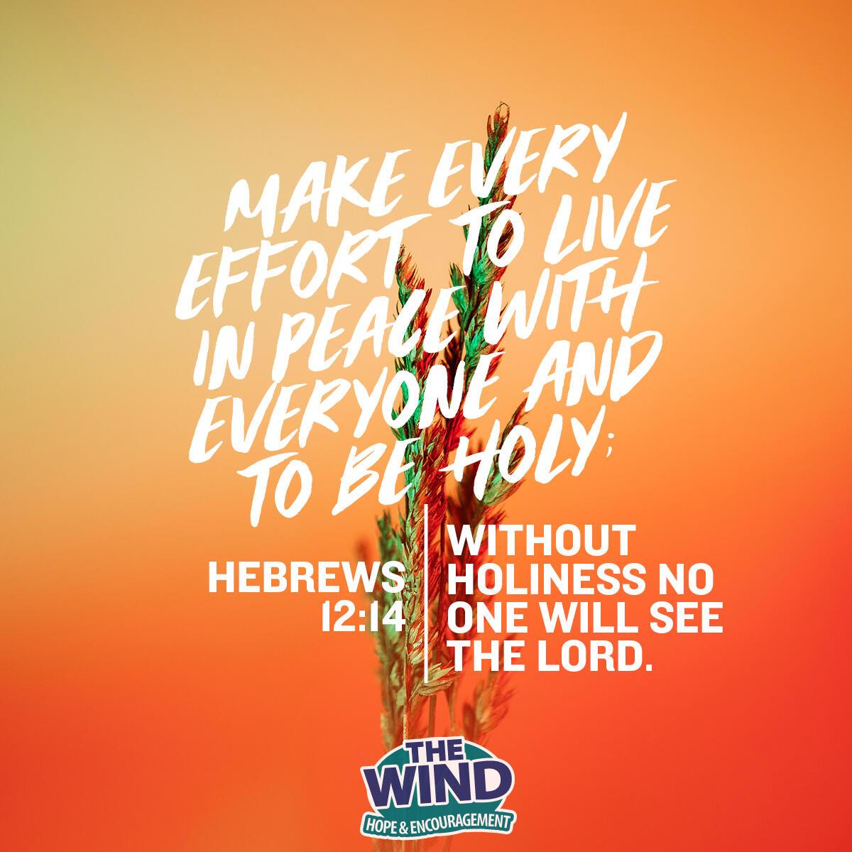 Hebrews 12:14