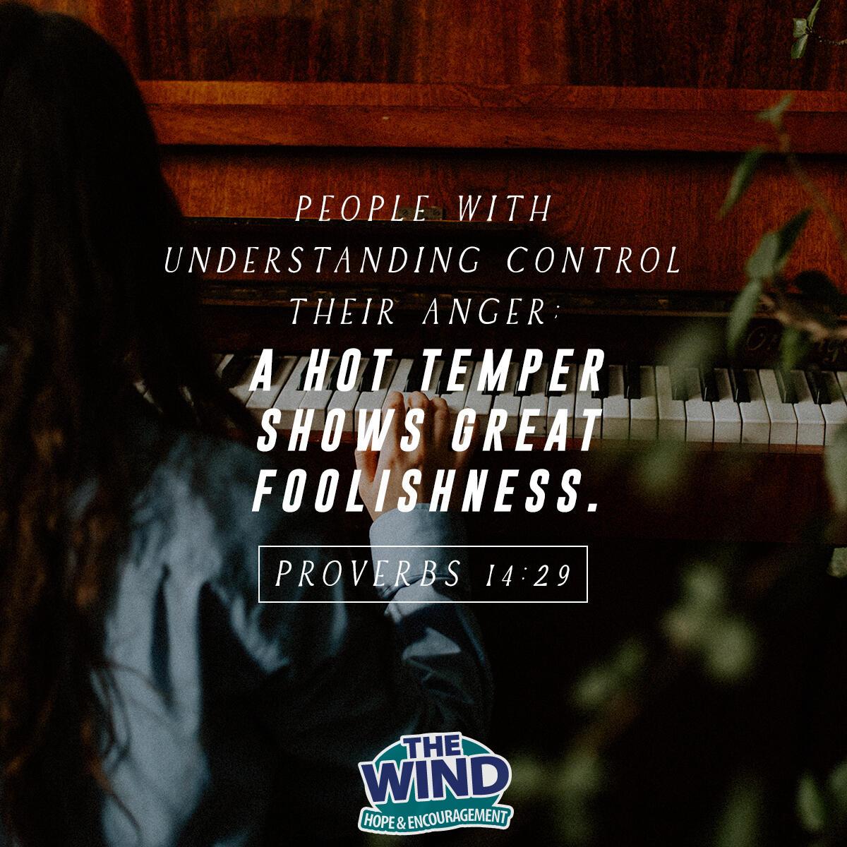 Proverbs 14:29